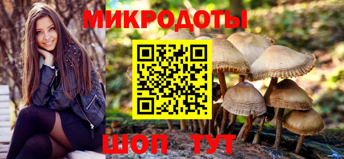 Галлюциногенные грибы Cubensis Кунгур