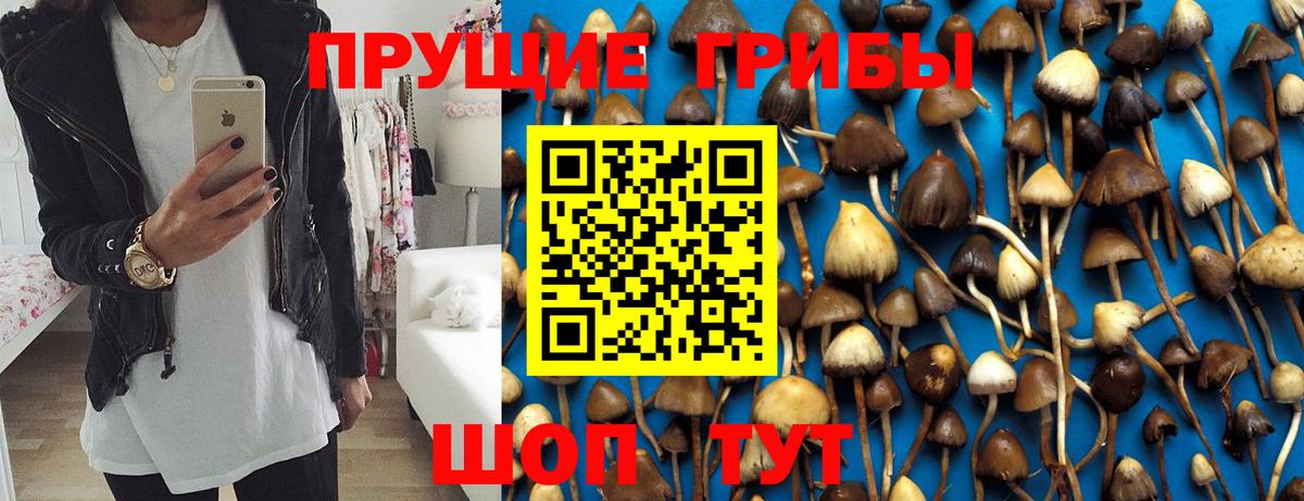 Галлюциногенные грибы Cubensis  Вход с VPN  наркотики  Кунгур 